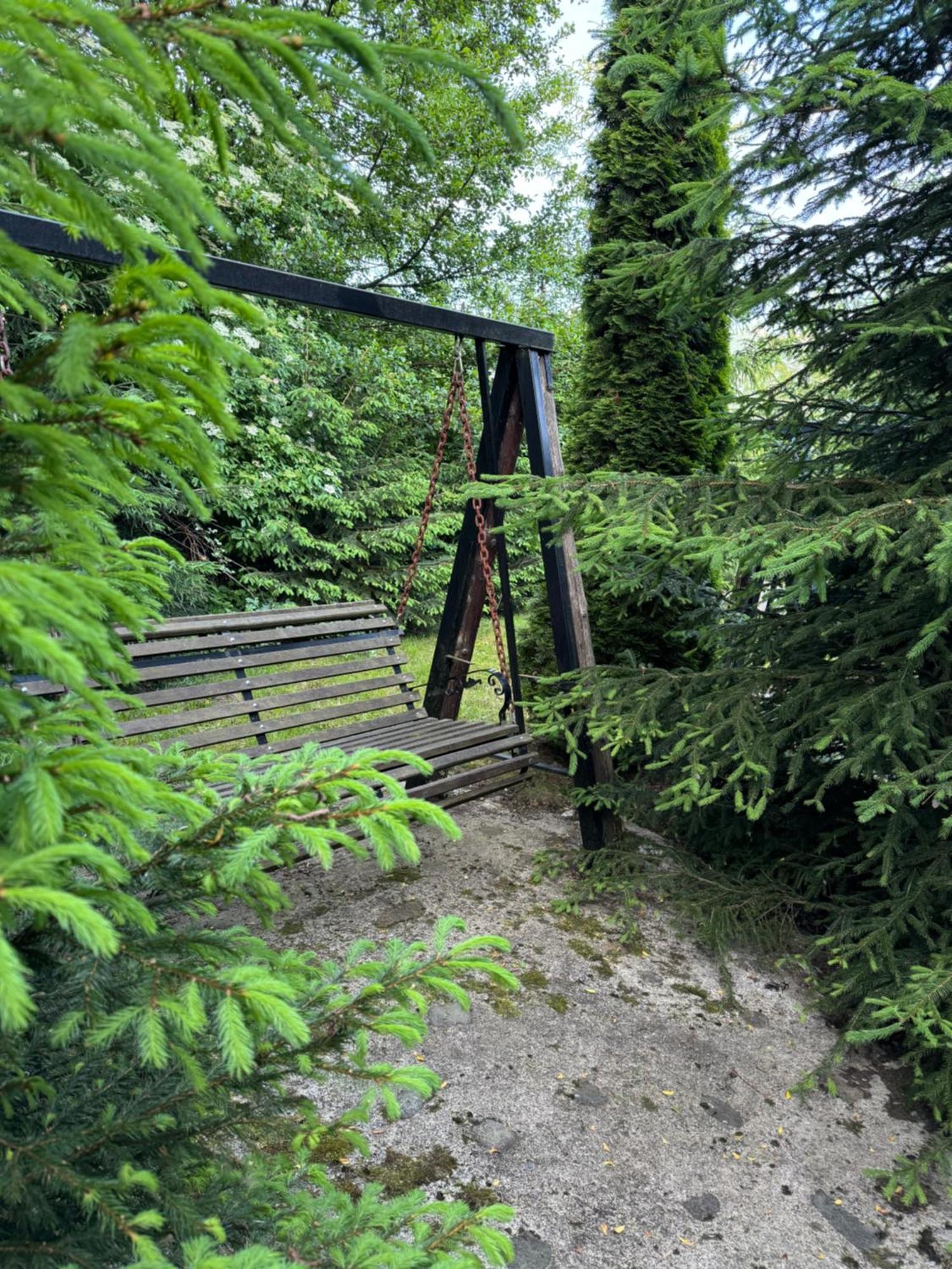 Pensiunea Ego Bran  Exterior foto